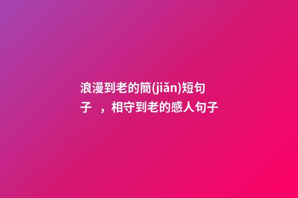 浪漫到老的簡(jiǎn)短句子，相守到老的感人句子